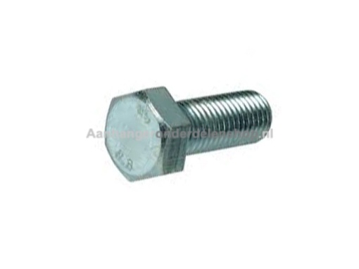 Afbeeldingen van Zeskant tapbout 8.8 M12x20 verz Din 933