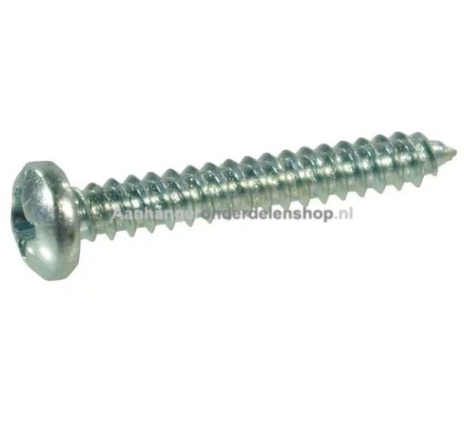Afbeeldingen van Plaatschroef 5.5x19MM DIN7981C