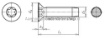 Afbeeldingen van Trailervloer Schroeven M8x50 TX40
