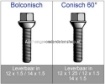 Afbeeldingen van Wielbout Conische M12 x1.5 24MM